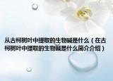 从古柯树叶中提取的生物碱是什么（在古柯树叶中提取的生物碱是什么简介介绍）