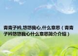 青青子衿,悠悠我心,什么意思（青青子衿悠悠我心什么意思简介介绍）