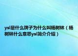ysl是什么牌子为什么叫杨树林（杨树林什么意思ysl简介介绍）