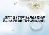 山东第二技术学院有什么专业介绍(山东第二技术学院有什么专业详细情况如何)