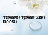 羊剪绒是啥（羊剪绒是什么面料简介介绍）