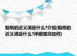 魁梧的近义词是什么?介绍(魁梧的近义词是什么?详细情况如何)