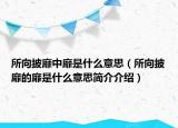 所向披靡中靡是什么意思（所向披靡的靡是什么意思简介介绍）
