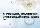 赛尔号奇拉塔顿强还是烈火猴强介绍(赛尔号奇拉塔顿强还是烈火猴强详细情况如何)