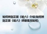 如何辨别正版《哈六》介绍(如何辨别正版《哈六》详细情况如何)