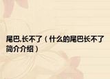尾巴,长不了（什么的尾巴长不了简介介绍）