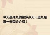 今天是几九的第多少天（进九是哪一天简介介绍）