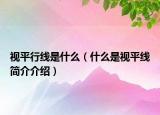 视平行线是什么（什么是视平线简介介绍）