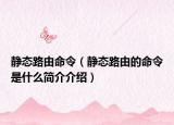 静态路由命令（静态路由的命令是什么简介介绍）