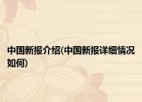 中国新报介绍(中国新报详细情况如何)