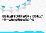 锦瑟表达的思想感情的句子（锦瑟表达了一种什么样的思想感情简介介绍）