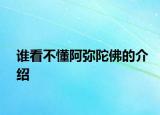 谁看不懂阿弥陀佛的介绍
