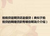 拍拍贷是网贷还是信贷（类似于拍拍贷的网络贷款有哪些呢简介介绍）