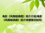 电影《风雨哈佛路》简介介绍(电影《风雨哈佛路》简介详细情况如何)