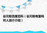 谷元粉百度百科（谷元粉有害吗对人简介介绍）