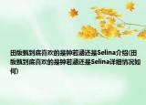 田馥甄到底喜欢的是钟若涵还是Selina介绍(田馥甄到底喜欢的是钟若涵还是Selina详细情况如何)