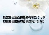 能放卧室里面的植物有哪些（可以放在卧室的植物有哪些简介介绍）