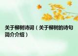 关于柳树诗词（关于柳树的诗句简介介绍）