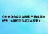 心脏有杂音是怎么回事,严重吗,能治好吗（心脏有杂音是怎么回事）