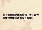 关于青春和梦想的美句（关于青春与梦想的唯美语录简介介绍）