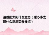 温暖的太阳什么意思（暖心小太阳什么意思简介介绍）