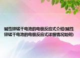 碱性锌锰干电池的电极反应式介绍(碱性锌锰干电池的电极反应式详细情况如何)