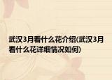 武汉3月看什么花介绍(武汉3月看什么花详细情况如何)