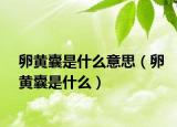 卵黄囊是什么意思（卵黄囊是什么）