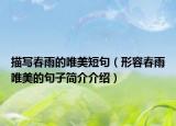 描写春雨的唯美短句（形容春雨唯美的句子简介介绍）