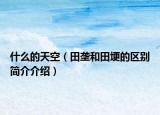 什么的天空（田垄和田埂的区别简介介绍）