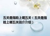 五关是指脸上哪五关（五关是指脸上哪五关简介介绍）