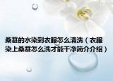 桑葚的水染到衣服怎么清洗（衣服染上桑葚怎么洗才能干净简介介绍）