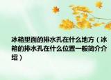 冰箱里面的排水孔在什么地方（冰箱的排水孔在什么位置一般简介介绍）