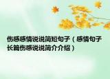 伤感感情说说简短句子（感情句子长篇伤感说说简介介绍）