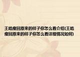 王皓瘦回原来的样子你怎么看介绍(王皓瘦回原来的样子你怎么看详细情况如何)