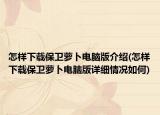怎样下载保卫萝卜电脑版介绍(怎样下载保卫萝卜电脑版详细情况如何)