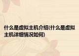 什么是虚拟主机介绍(什么是虚拟主机详细情况如何)