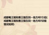 成都蜀王陵和惠王陵在同一地方吗?介绍(成都蜀王陵和惠王陵在同一地方吗?详细情况如何)