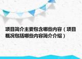 项目简介主要包含哪些内容（项目概况包括哪些内容简介介绍）