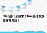 FINE是什么意思（fine是什么意思简介介绍）