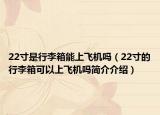 22寸是行李箱能上飞机吗（22寸的行李箱可以上飞机吗简介介绍）