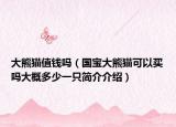 大熊猫值钱吗（国宝大熊猫可以买吗大概多少一只简介介绍）