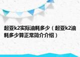 起亚k2实际油耗多少（起亚k2油耗多少算正常简介介绍）