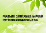 许美静是什么时候死的介绍(许美静是什么时候死的详细情况如何)