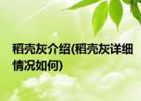 稻壳灰介绍(稻壳灰详细情况如何)