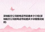 深圳航空公司的电话号码是多少介绍(深圳航空公司的电话号码是多少详细情况如何)