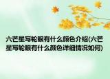 六芒星写轮眼有什么颜色介绍(六芒星写轮眼有什么颜色详细情况如何)