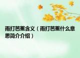 雨打芭蕉含义（雨打芭蕉什么意思简介介绍）