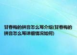 甘春梅的拼音怎么写介绍(甘春梅的拼音怎么写详细情况如何)