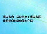 重庆市内一日游景点（重庆市区一日游景点有哪些简介介绍）